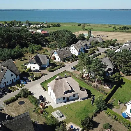 Vineta Schneckenhus * Loddin