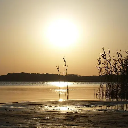 Vineta Schneckenhus *