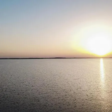 Vineta Schneckenhus Loddin